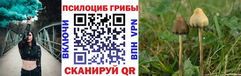 гидра ссылки  маркетплейс официальный сайт  Галлюциногенные грибы ЛСД  Мосальск 