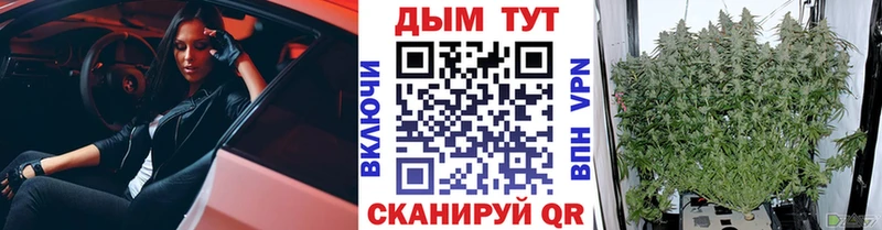 Бошки Шишки план Мосальск